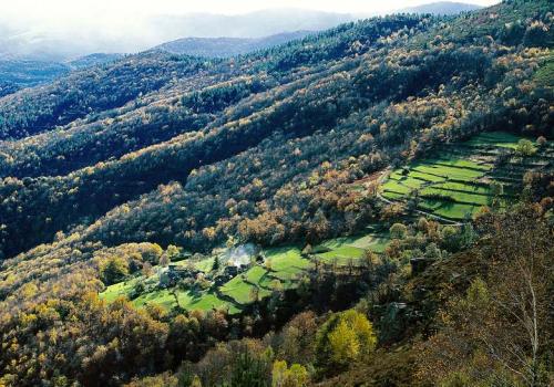 co2_mon_amour_consacre_aux_cevennes_2.jpg