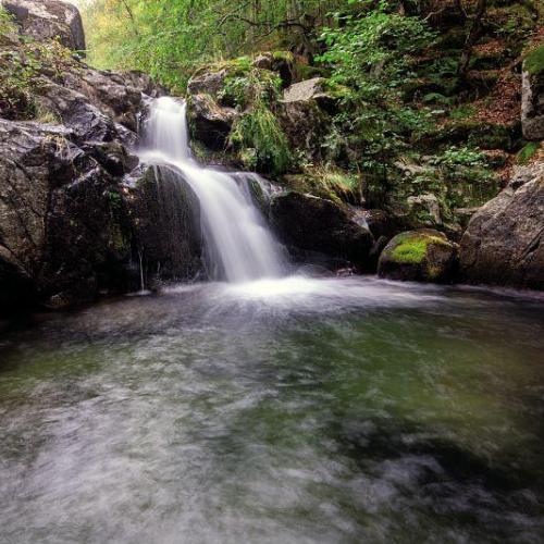 Rivière
