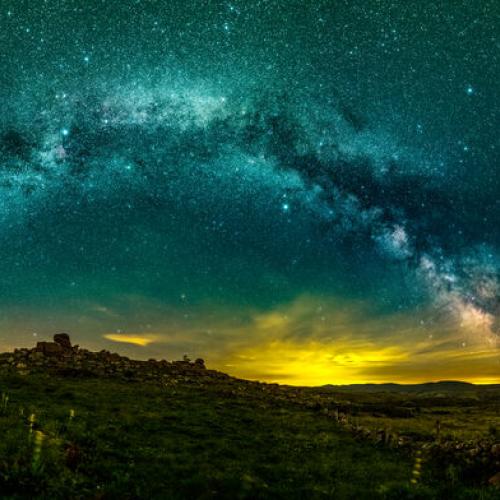 Gentiane sous voie lactée. Photo de nuit.