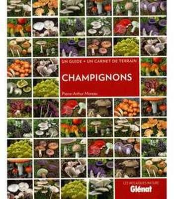 champignons.jpg