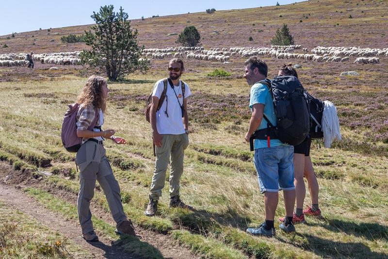 Saisonniers et randonneurs dans le Parc des Cévennes