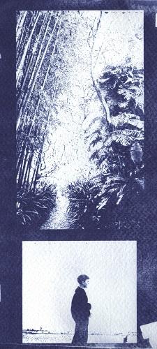 cyanotype