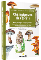 champignons forêts