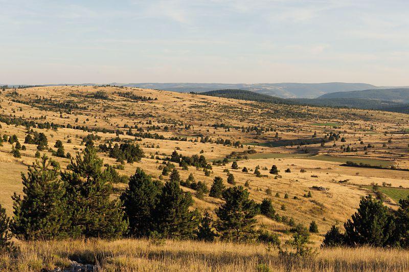 Causse sauveterre