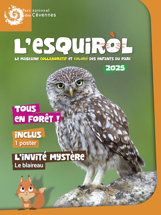 Esquirol