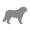 chien