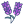 lavanda