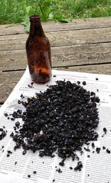 bouteille coprophage