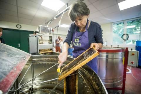 catherine de la rue can