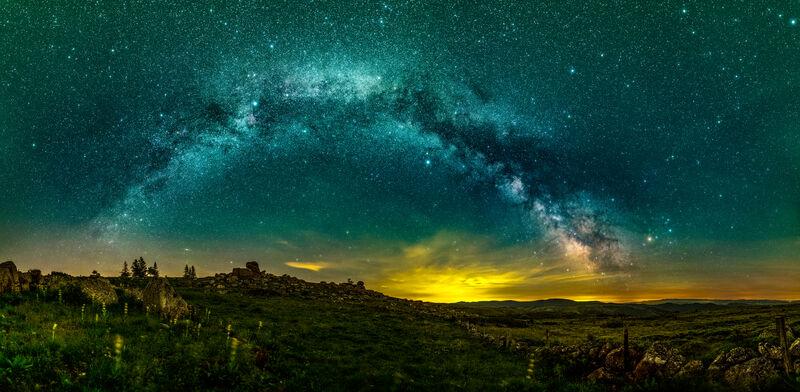 Gentiane sous voie lactée. Photo de nuit.