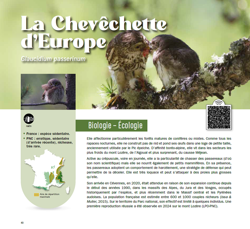 page intérieure du guide protection des rapaces