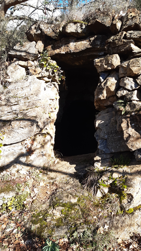 Entrée d'une grotte de chauves souris