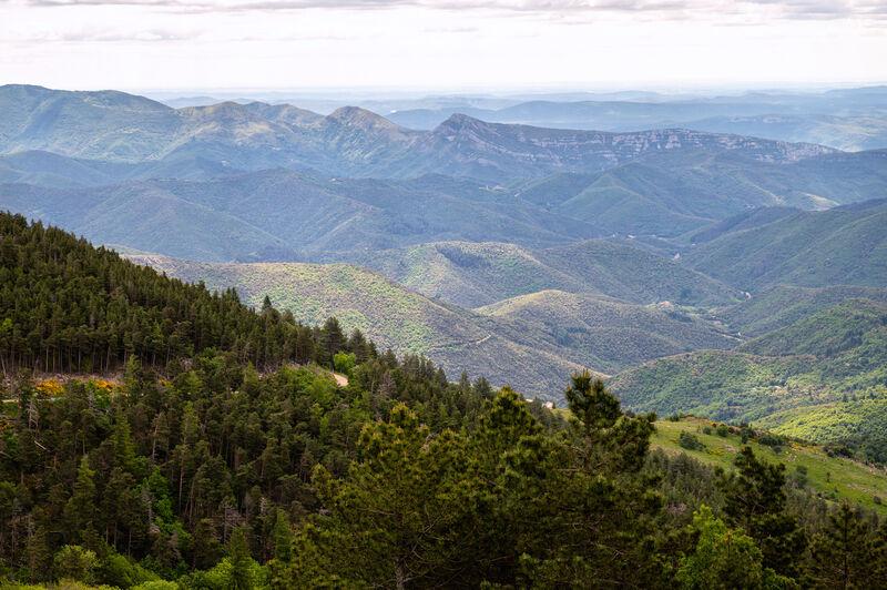 photo du massif de l'aigoual