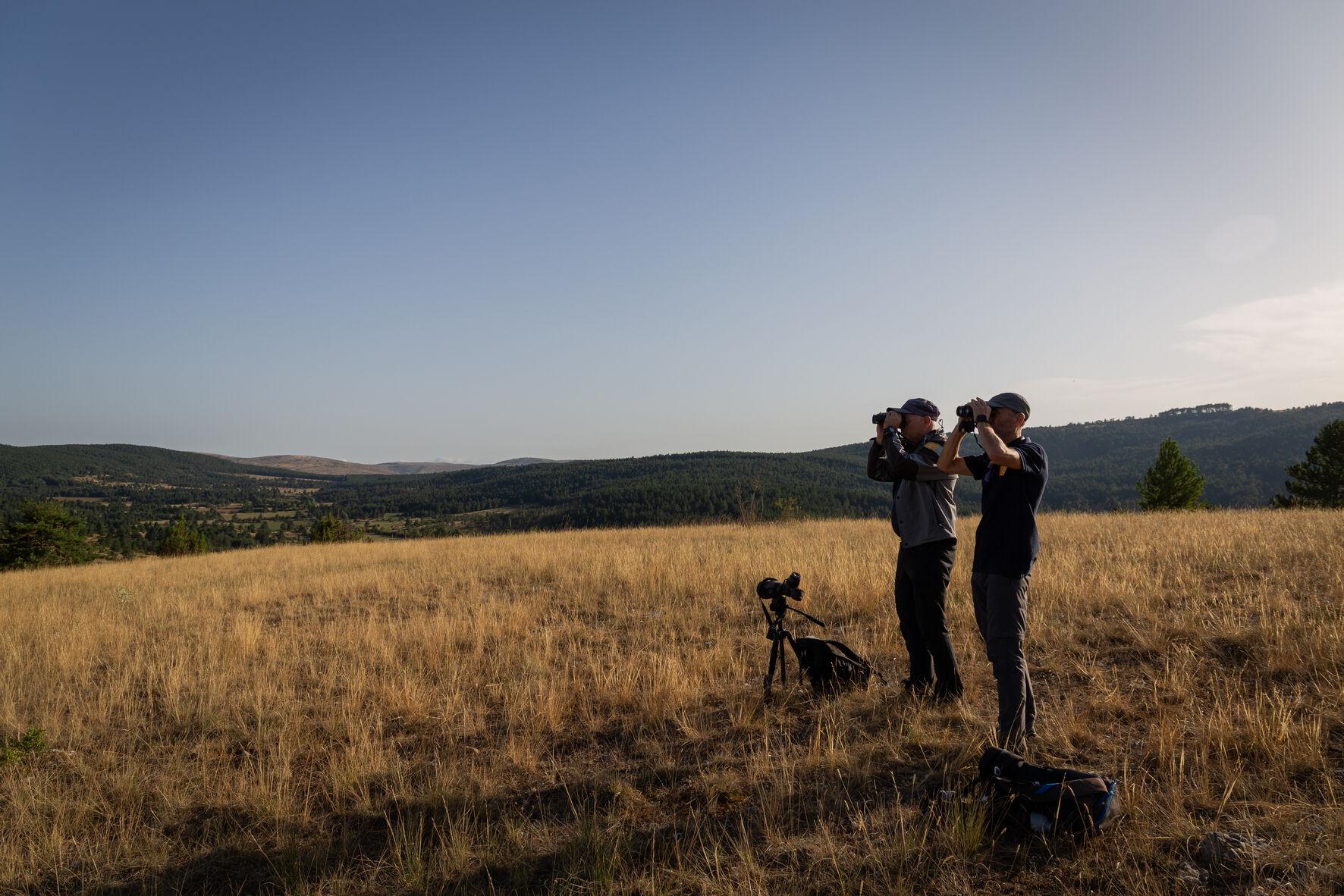 Agents du Parc national des Cévennes faisant un Comptage faucons crécerellettes 
