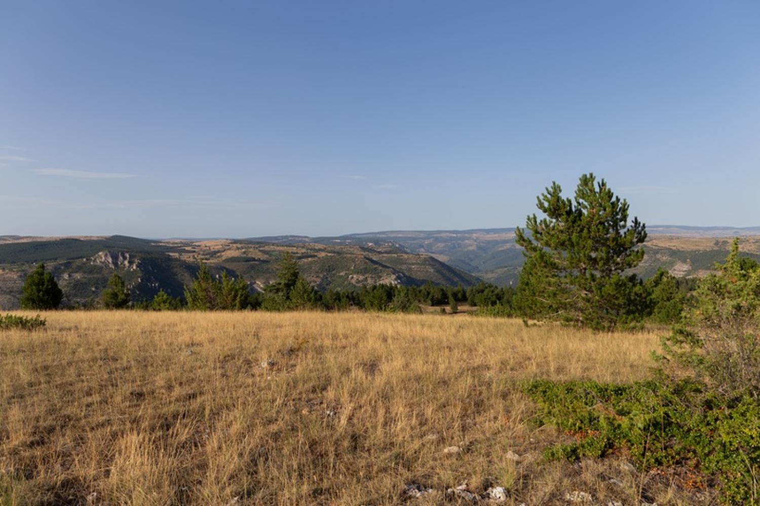 paysage du causse mejean