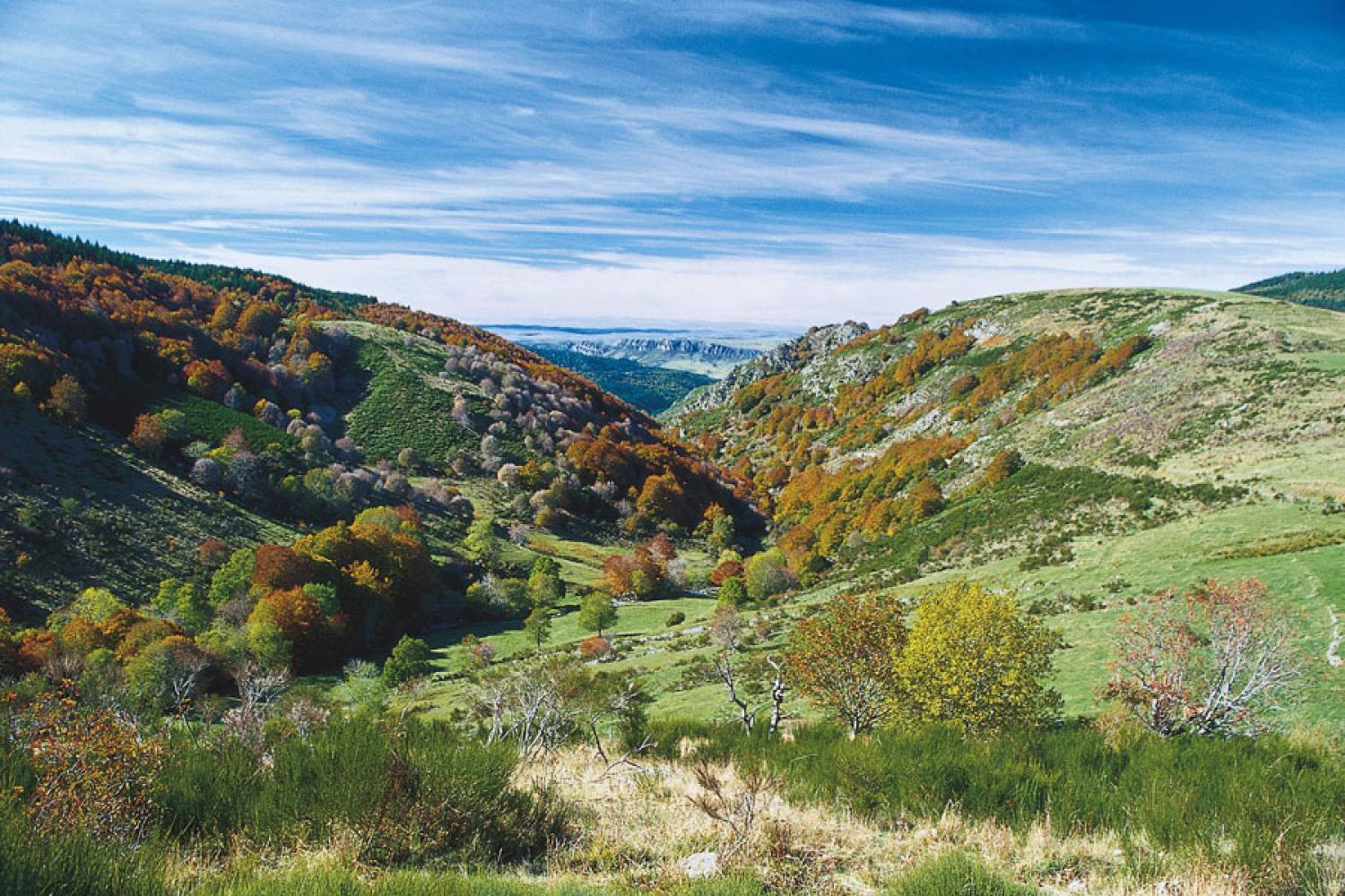 hetraies-et-landes-aigoual-jpm.jpg