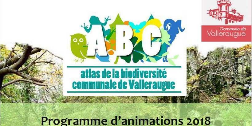 abc_valleraugue.jpg