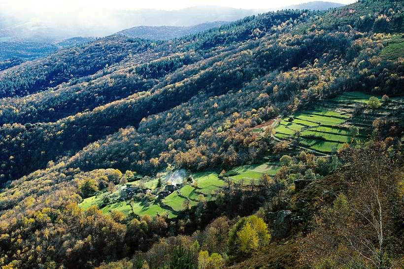co2_mon_amour_consacre_aux_cevennes_2.jpg
