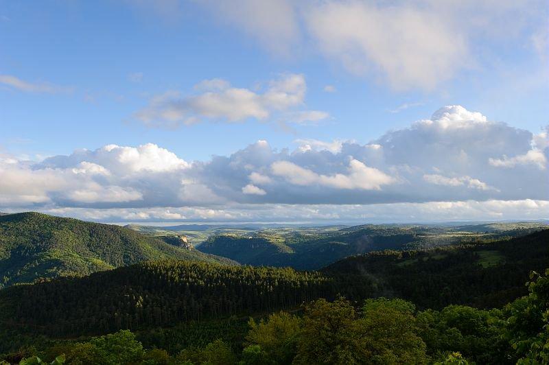 foret-domaniale-de-laigoual.jpg.800x800_q85_watermark-d41d8cd98f00b204e9800998ecf8427e.jpg